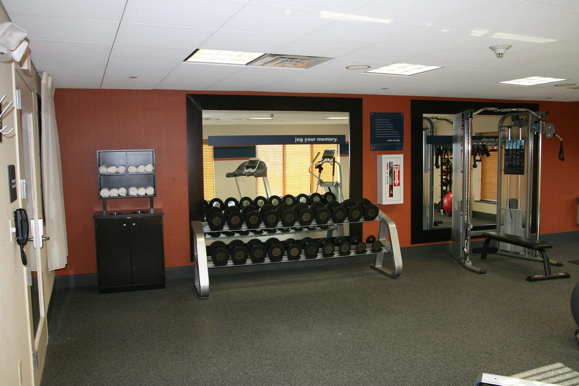 Hampton Inn Jericho - Westbury Facilities photo