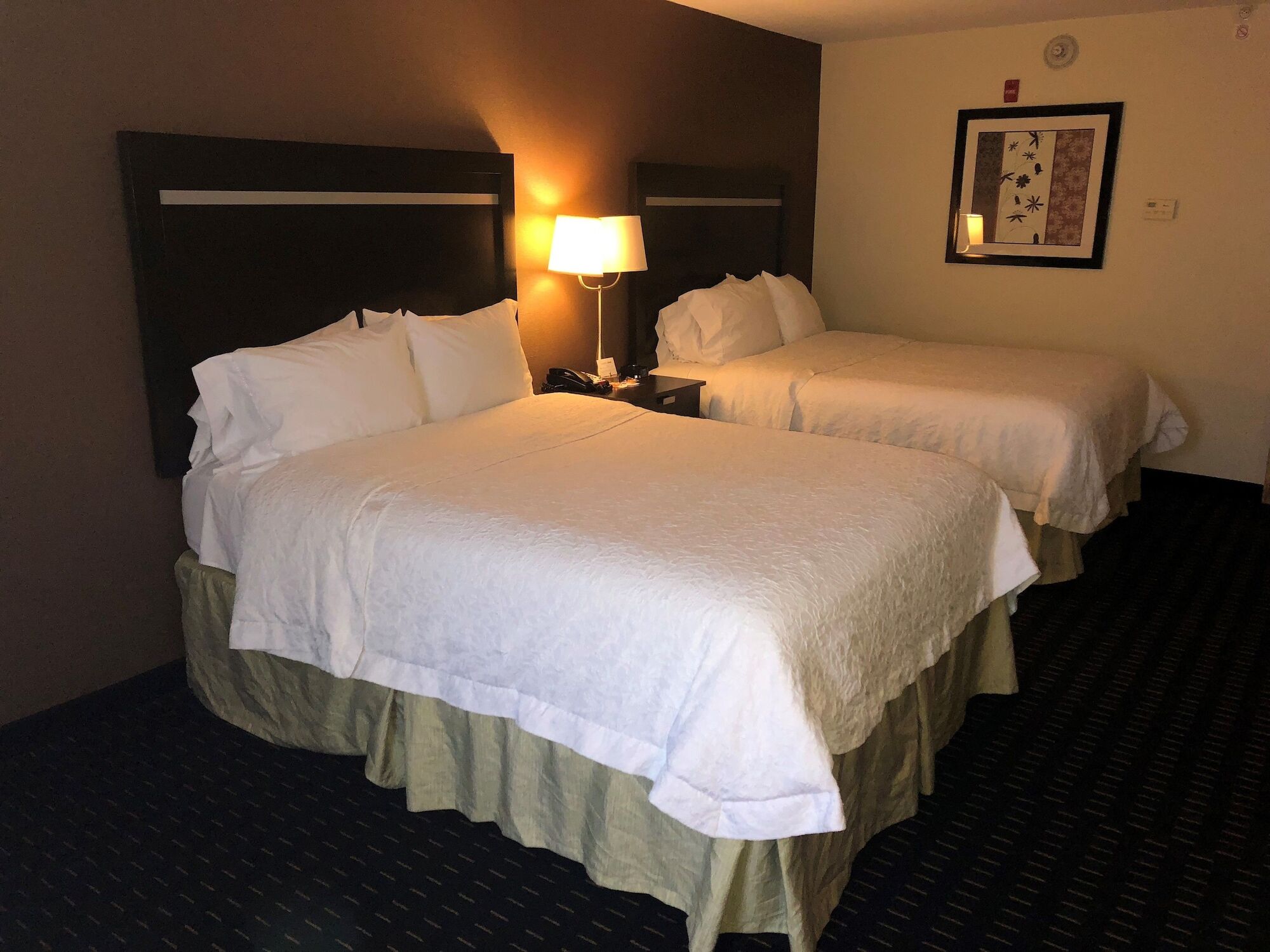 Hampton Inn Jericho - Westbury Exterior photo